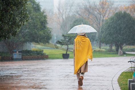 下雨的人|[下雨的人]